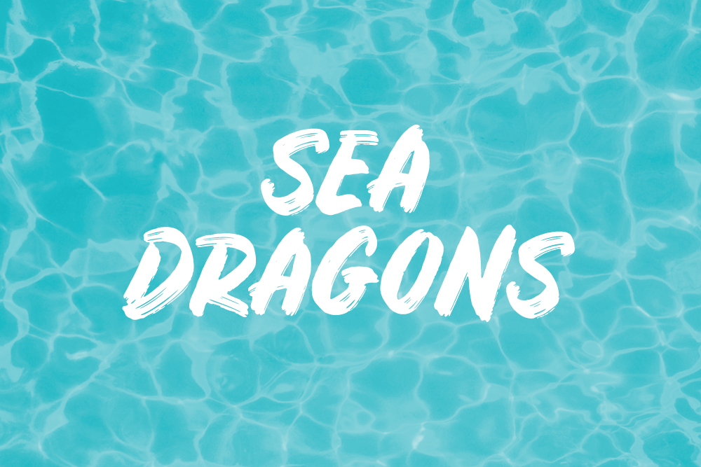 SEA DRAGONS - LEVEL 1