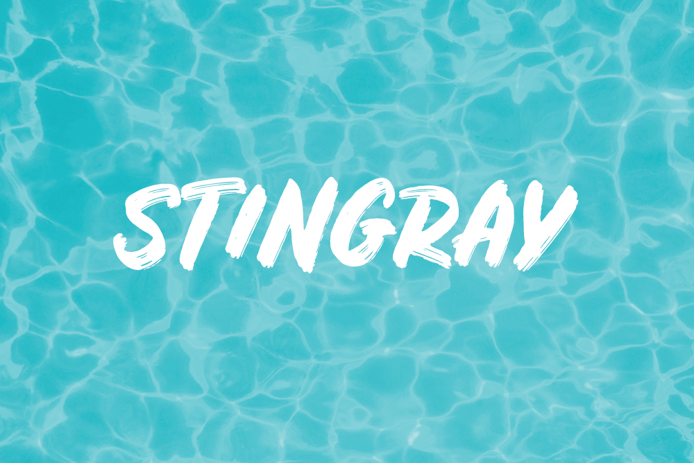 STINGRAY - LEVEL 6