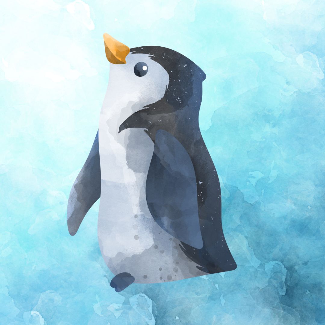 FAIRY PENGUIN - LEVEL 5