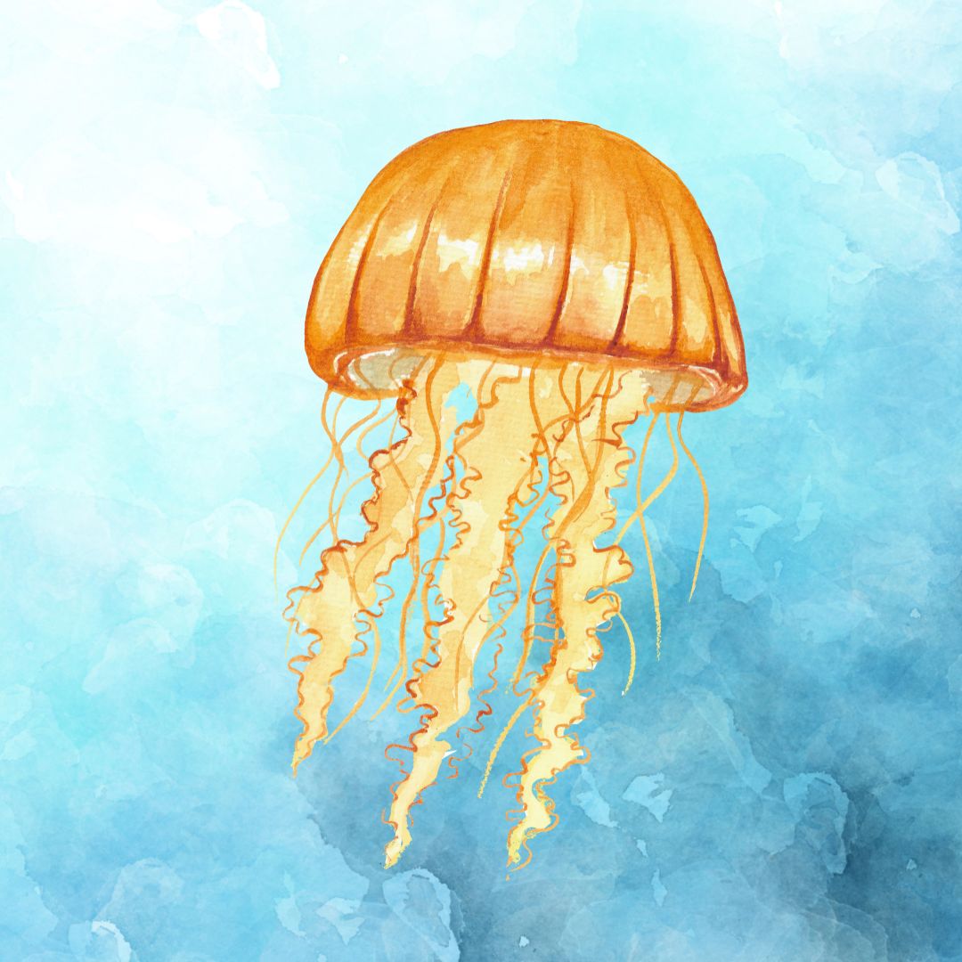 JELLYFISH - LEVEL 3