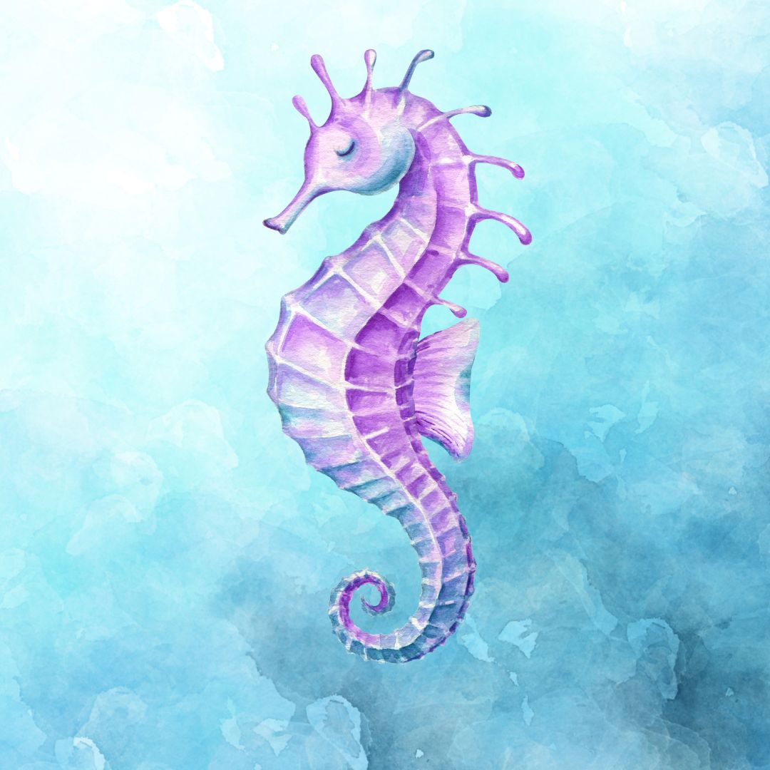 SEA DRAGONS - LEVEL 1