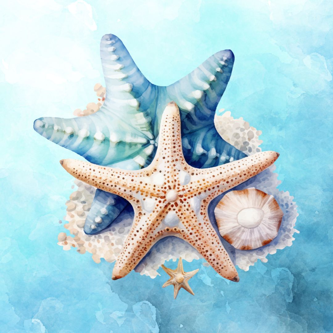 STARFISH 24-36 MONTHS